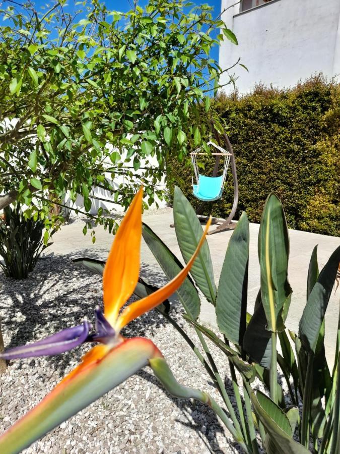 Il Giardino Di Flora Con Piscina Hotel Lecce Eksteriør billede